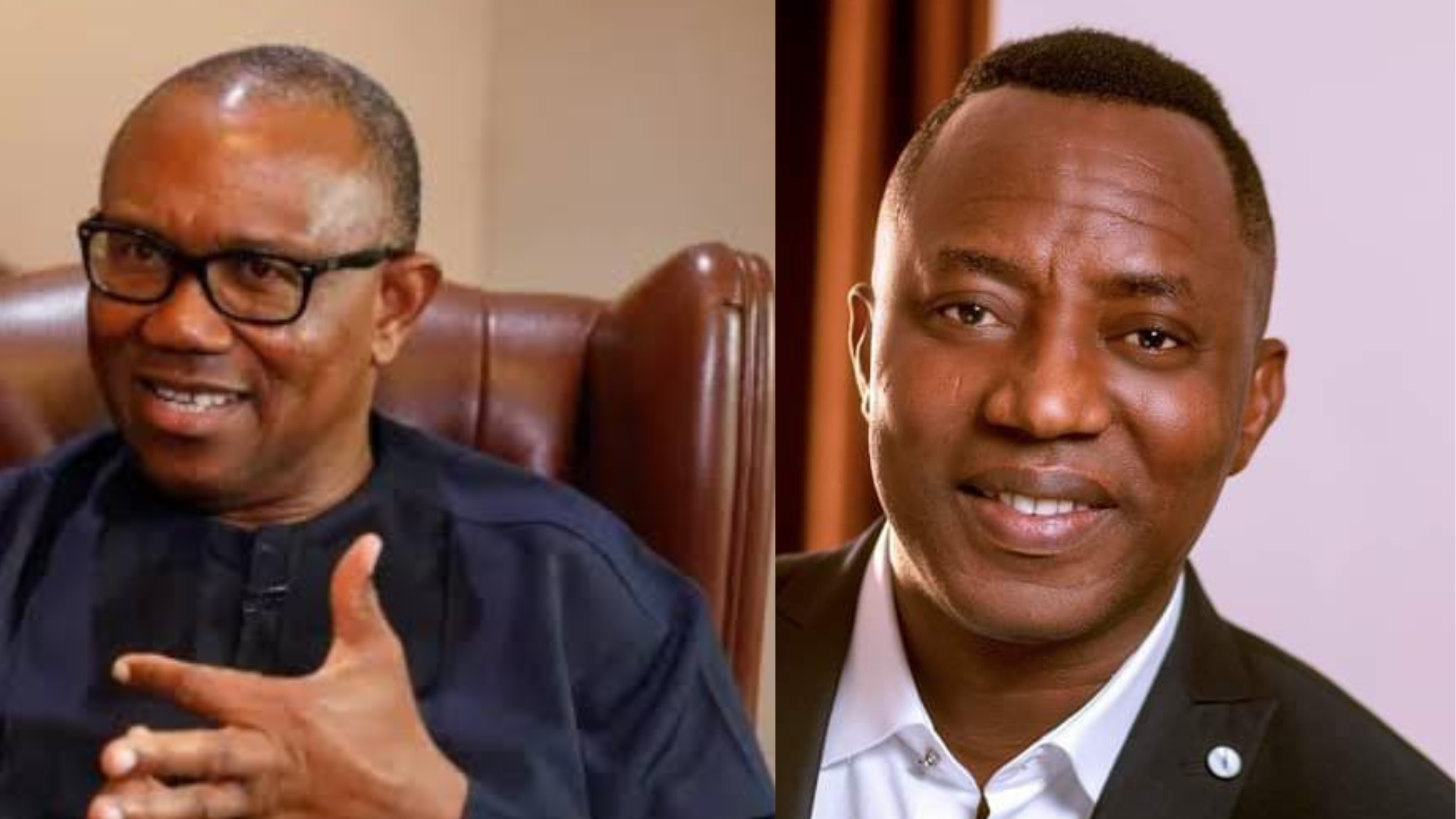 Who Can Hold the Beasts Down, Sowore or Peter Obi? by Damilare Adenola