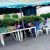 A Mandate Without the People—Why the Lagos Local Government Elections Must Be Declared Null and Void, By Popoola Sulaimon Olakunle